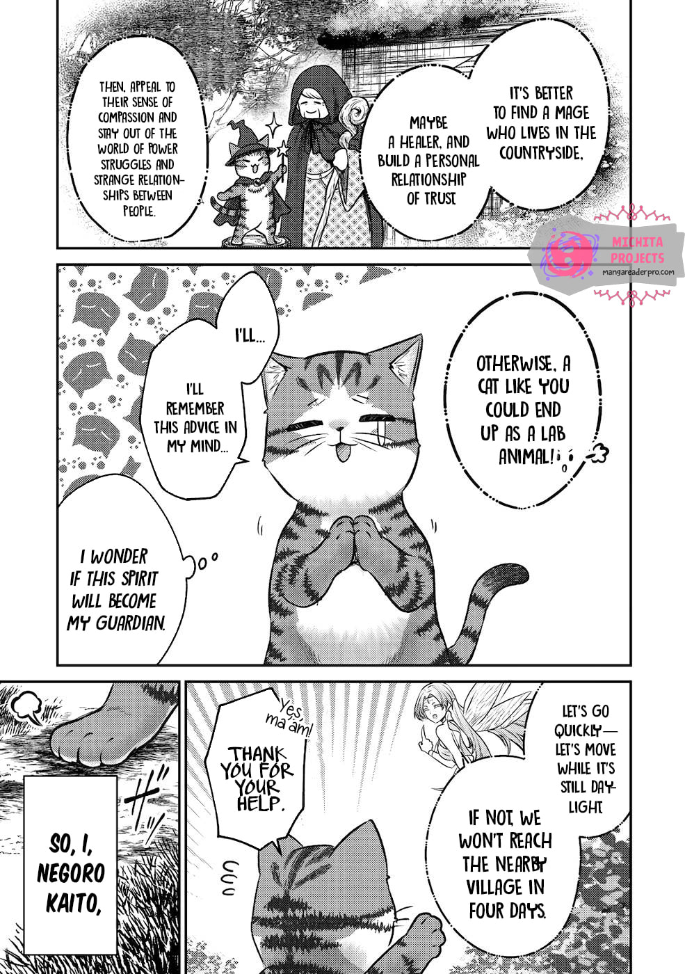 I Am a Cat Sorcerer: Luke the Tabby Cat