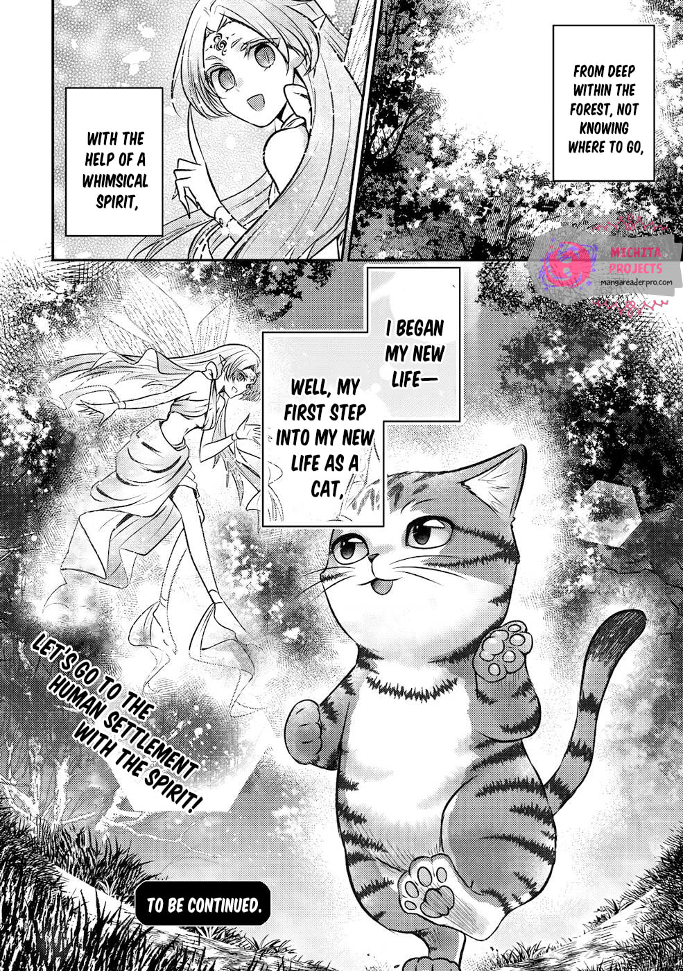 I Am a Cat Sorcerer: Luke the Tabby Cat
