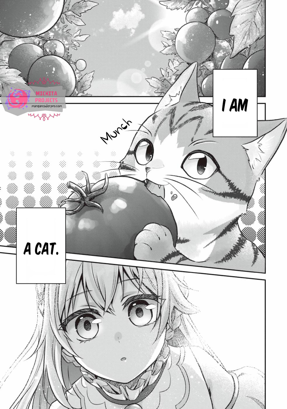 I Am a Cat Sorcerer: Luke the Tabby Cat