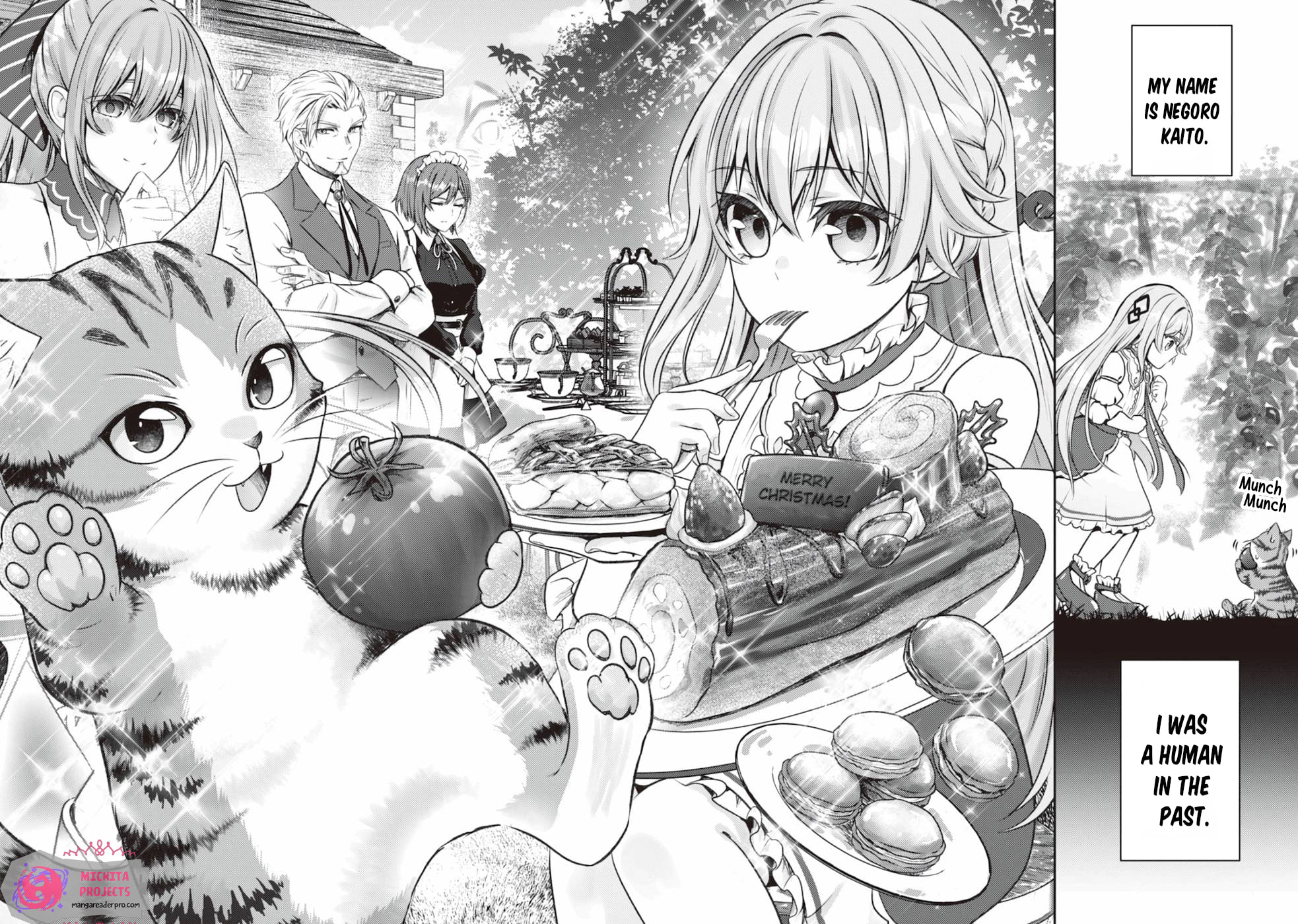 I Am a Cat Sorcerer: Luke the Tabby Cat