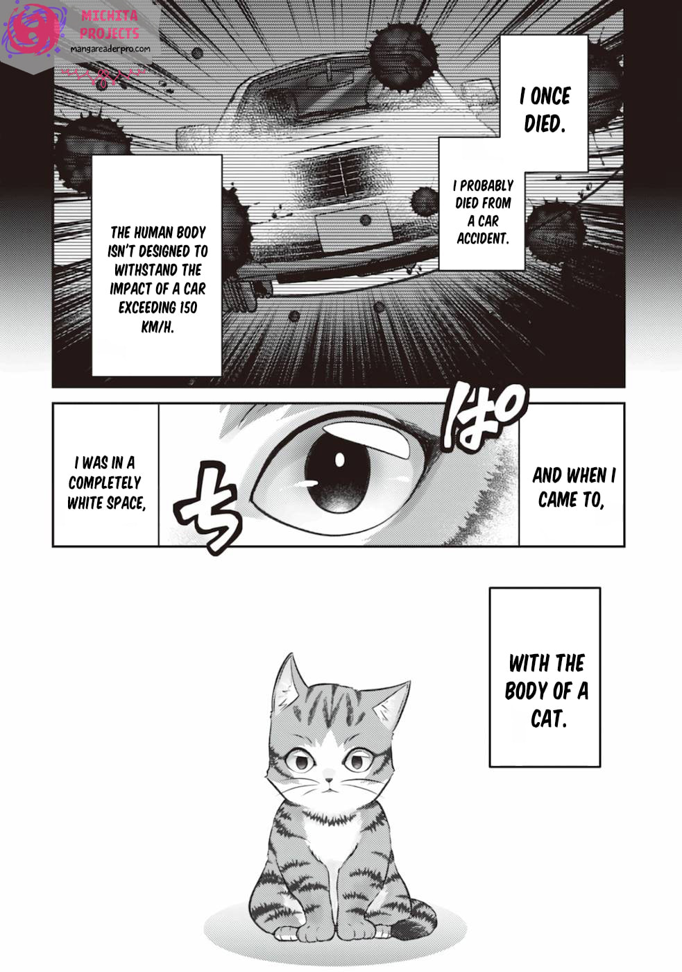 I Am a Cat Sorcerer: Luke the Tabby Cat