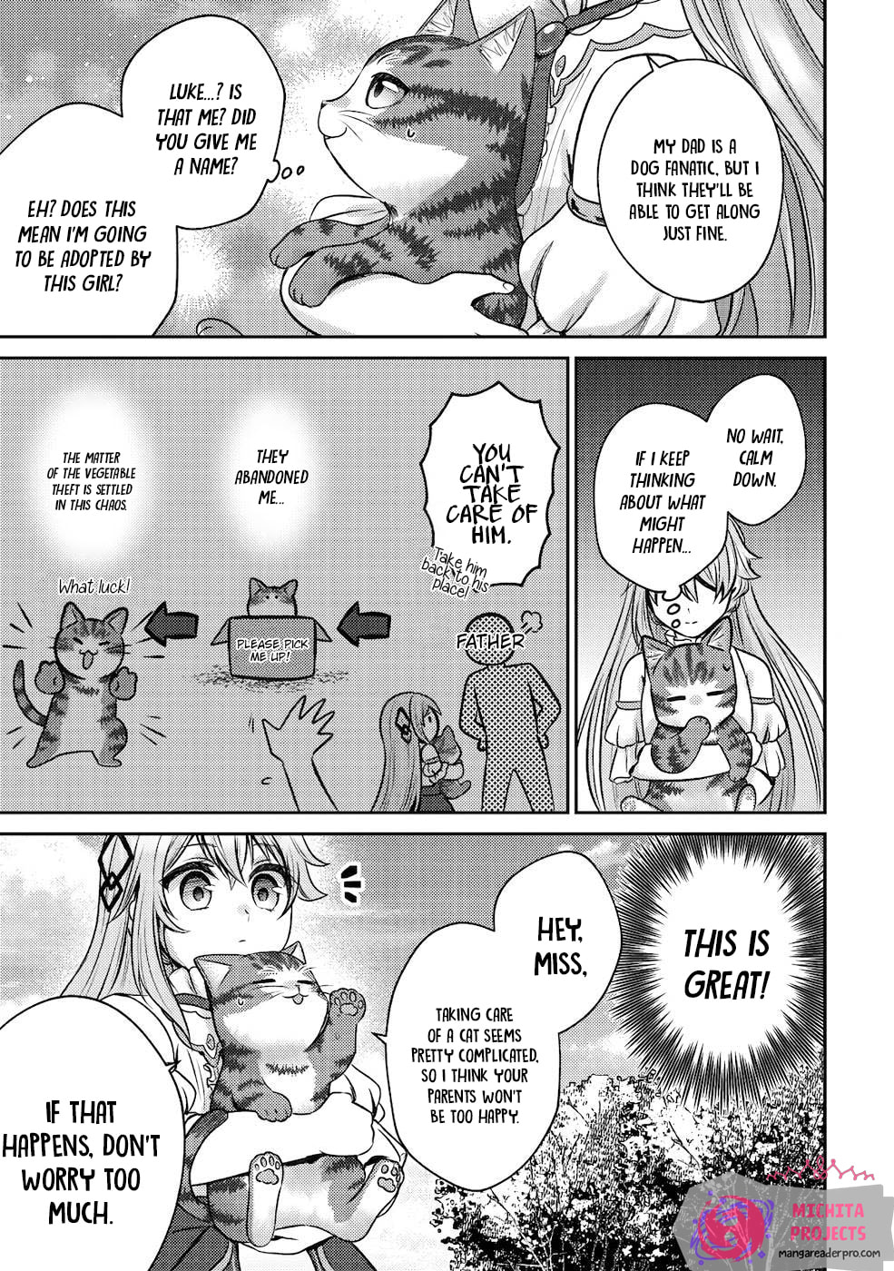 I Am a Cat Sorcerer: Luke the Tabby Cat