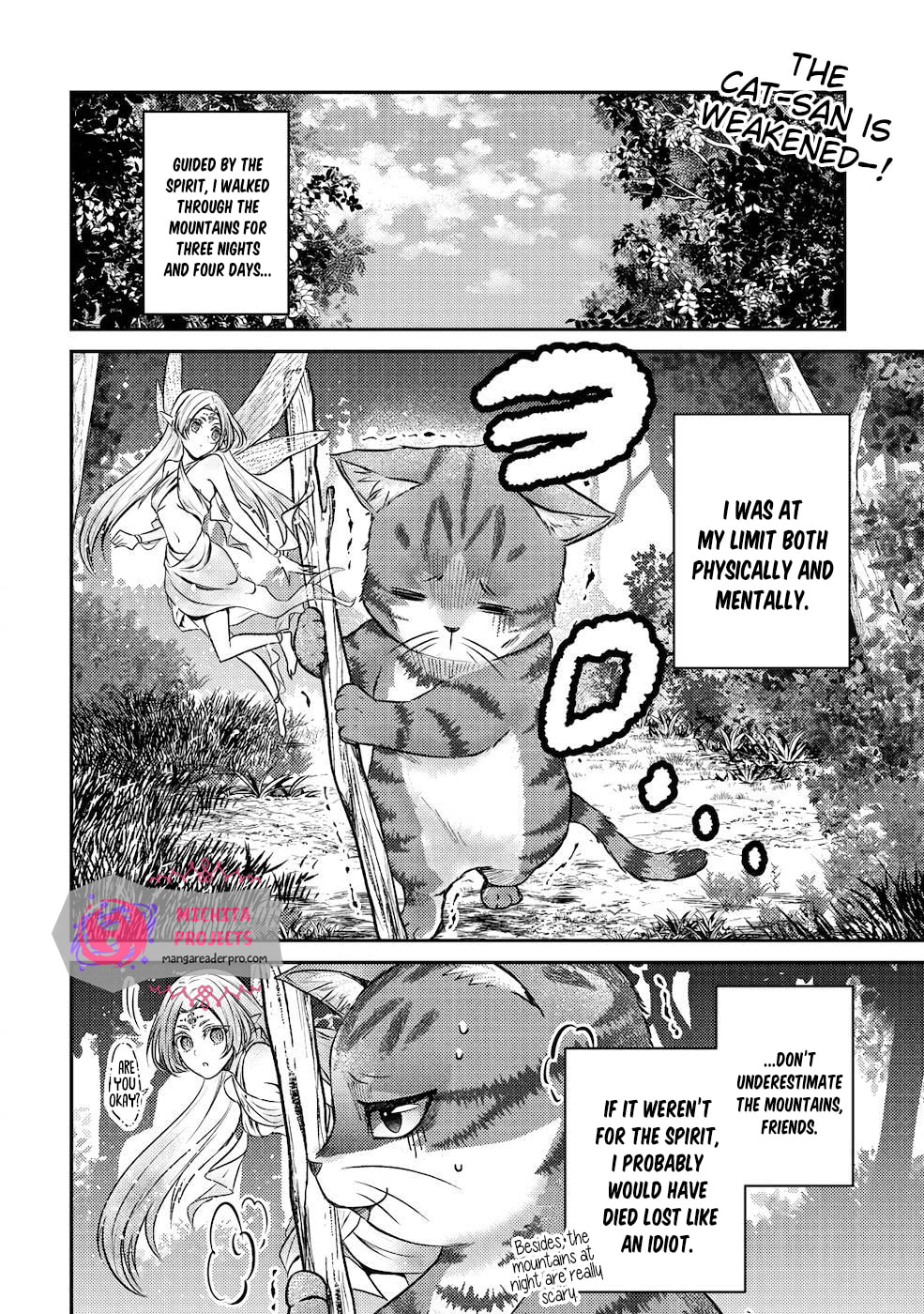 I Am a Cat Sorcerer: Luke the Tabby Cat