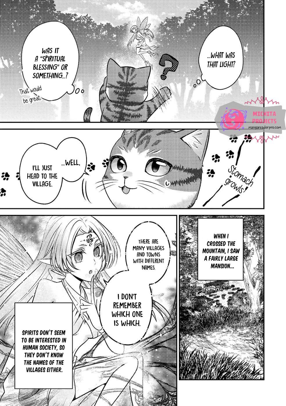 I Am a Cat Sorcerer: Luke the Tabby Cat