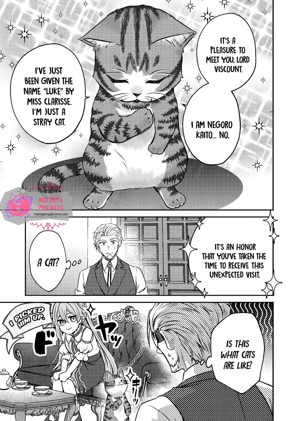 I Am a Cat Sorcerer: Luke the Tabby Cat