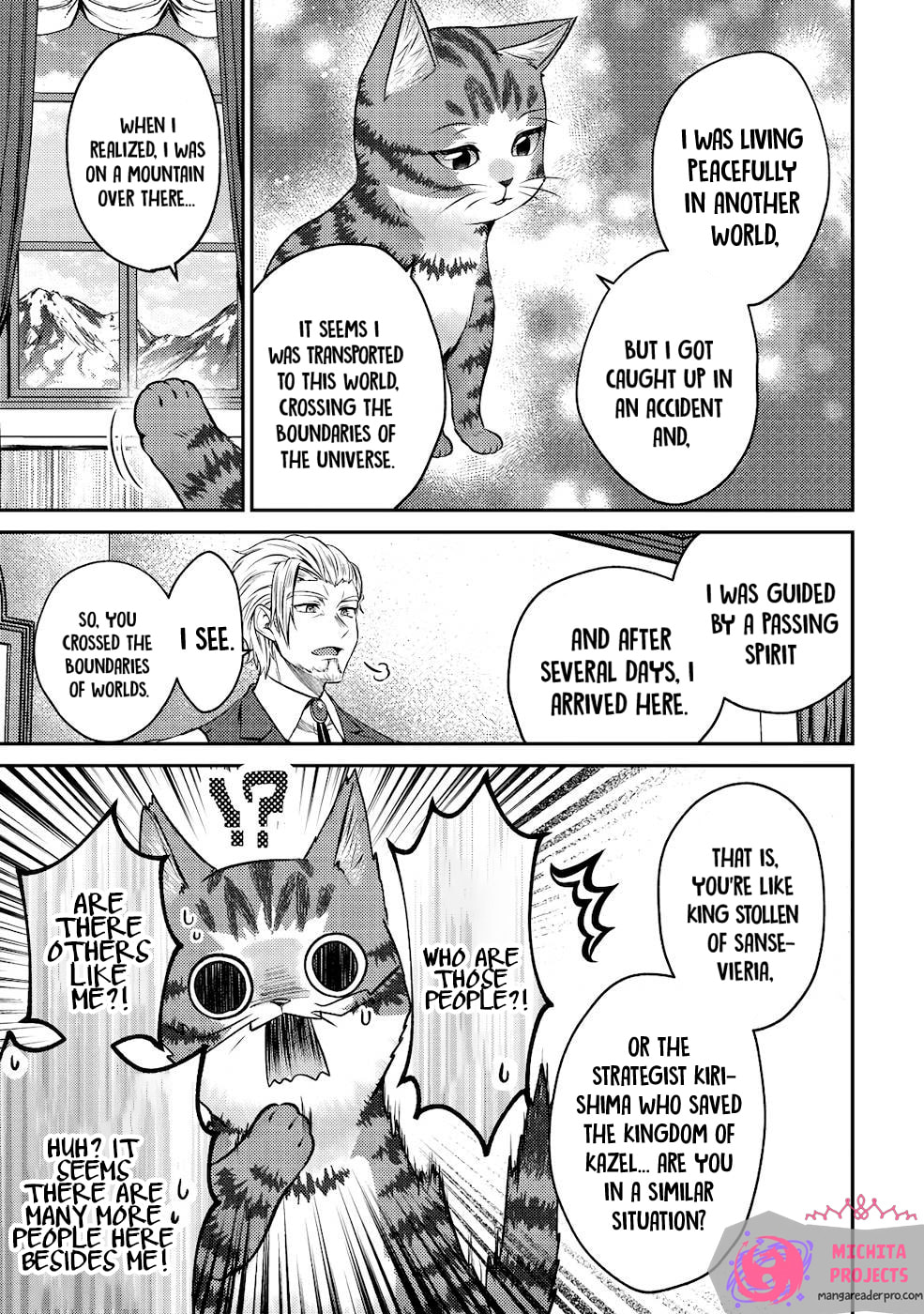 I Am a Cat Sorcerer: Luke the Tabby Cat