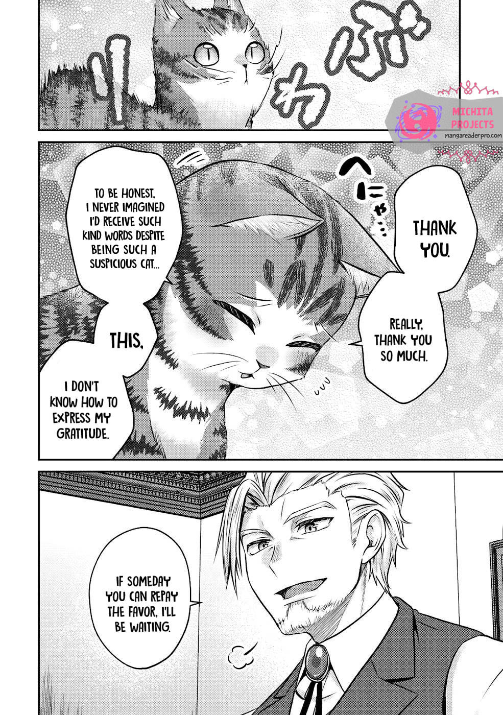 I Am a Cat Sorcerer: Luke the Tabby Cat