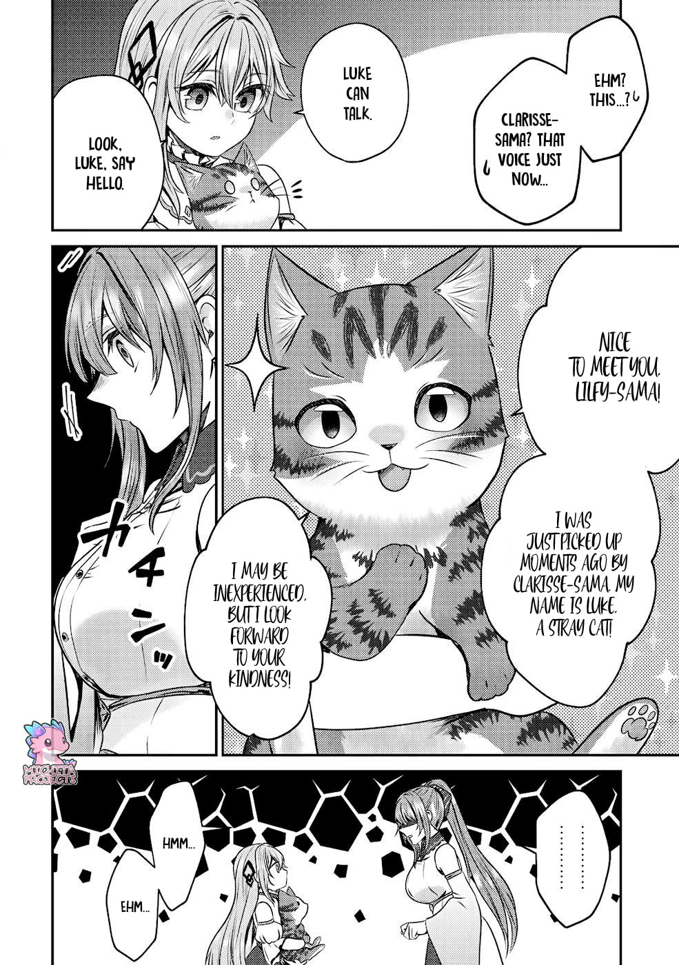 I Am a Cat Sorcerer: Luke the Tabby Cat