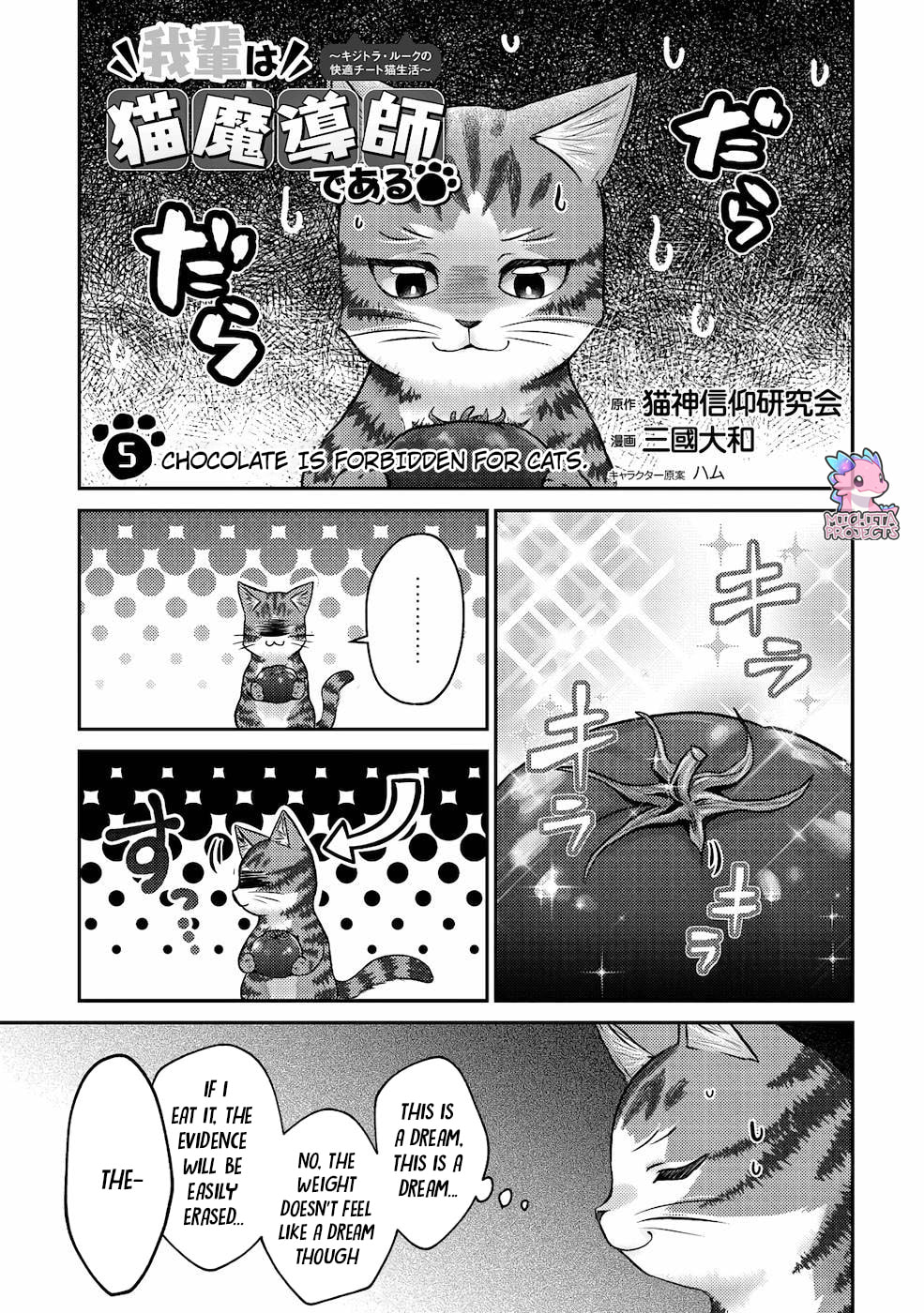I Am a Cat Sorcerer: Luke the Tabby Cat