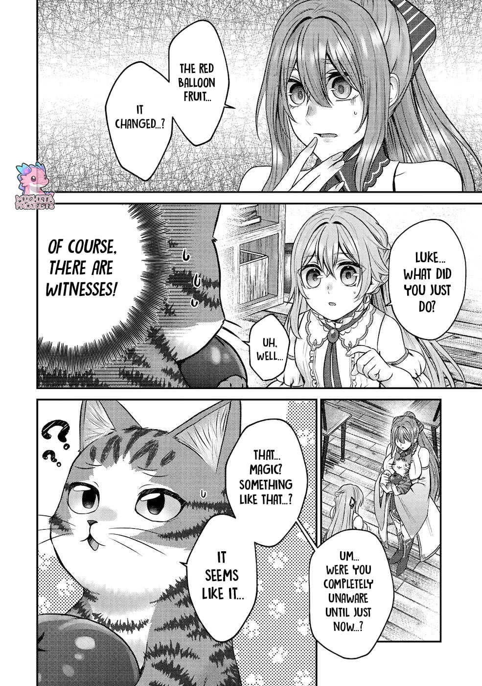 I Am a Cat Sorcerer: Luke the Tabby Cat