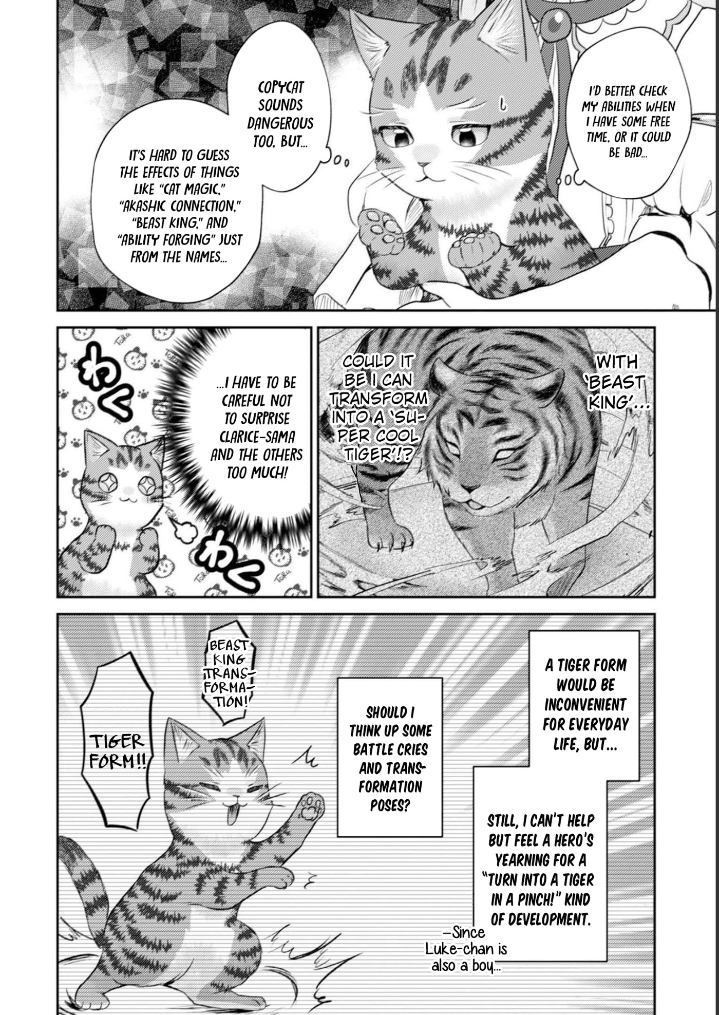 I Am a Cat Sorcerer: Luke the Tabby Cat