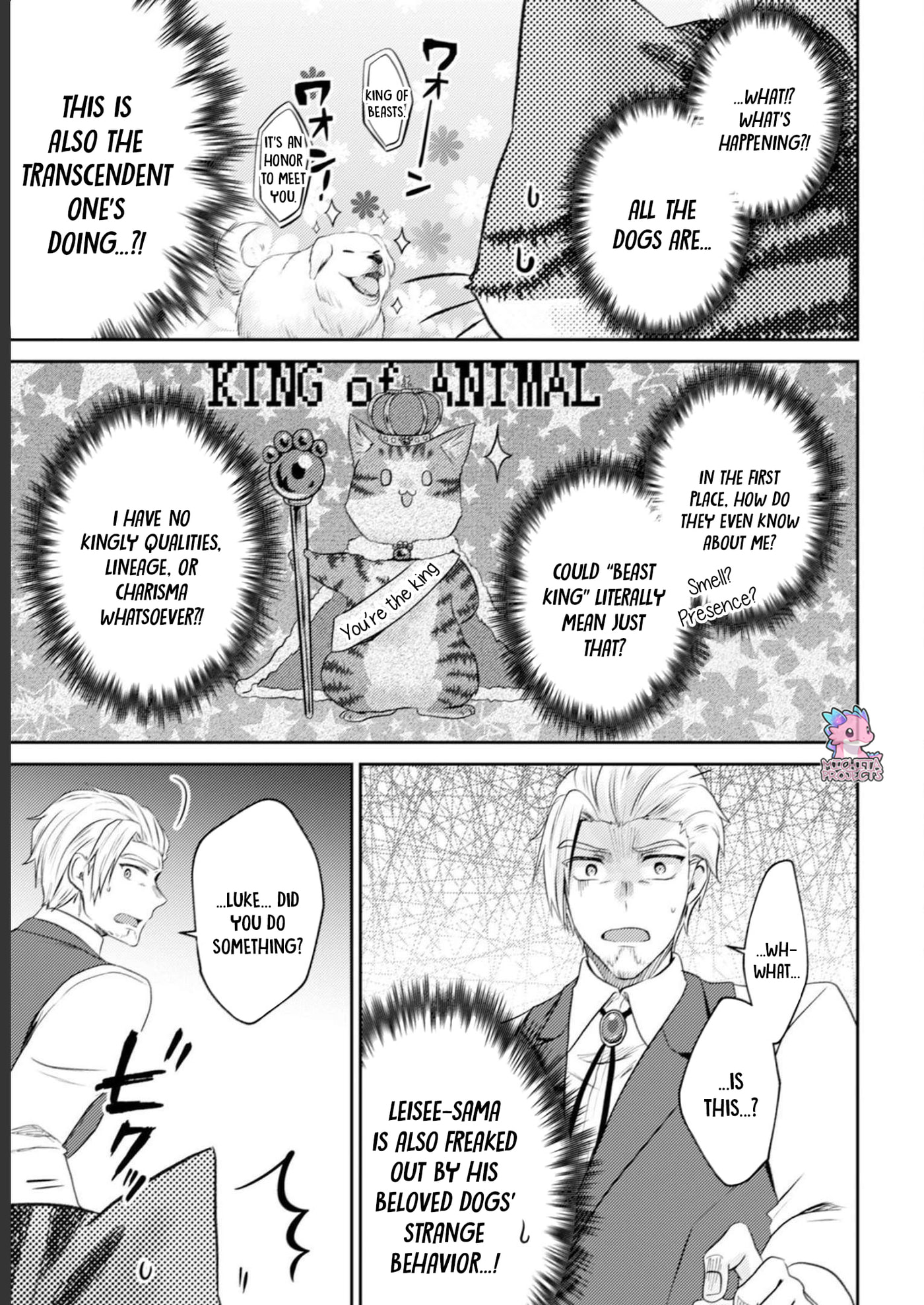 I Am a Cat Sorcerer: Luke the Tabby Cat
