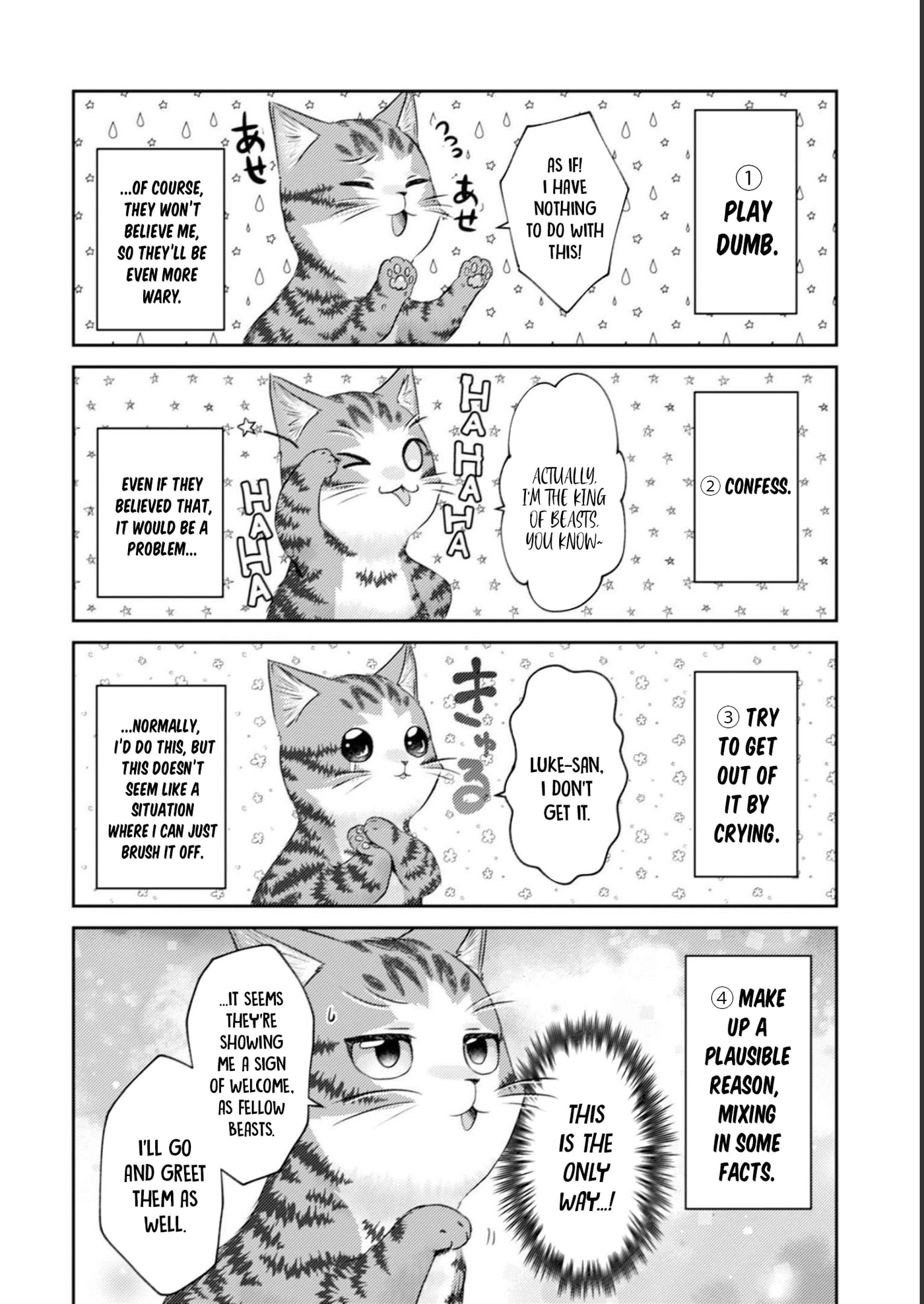 I Am a Cat Sorcerer: Luke the Tabby Cat