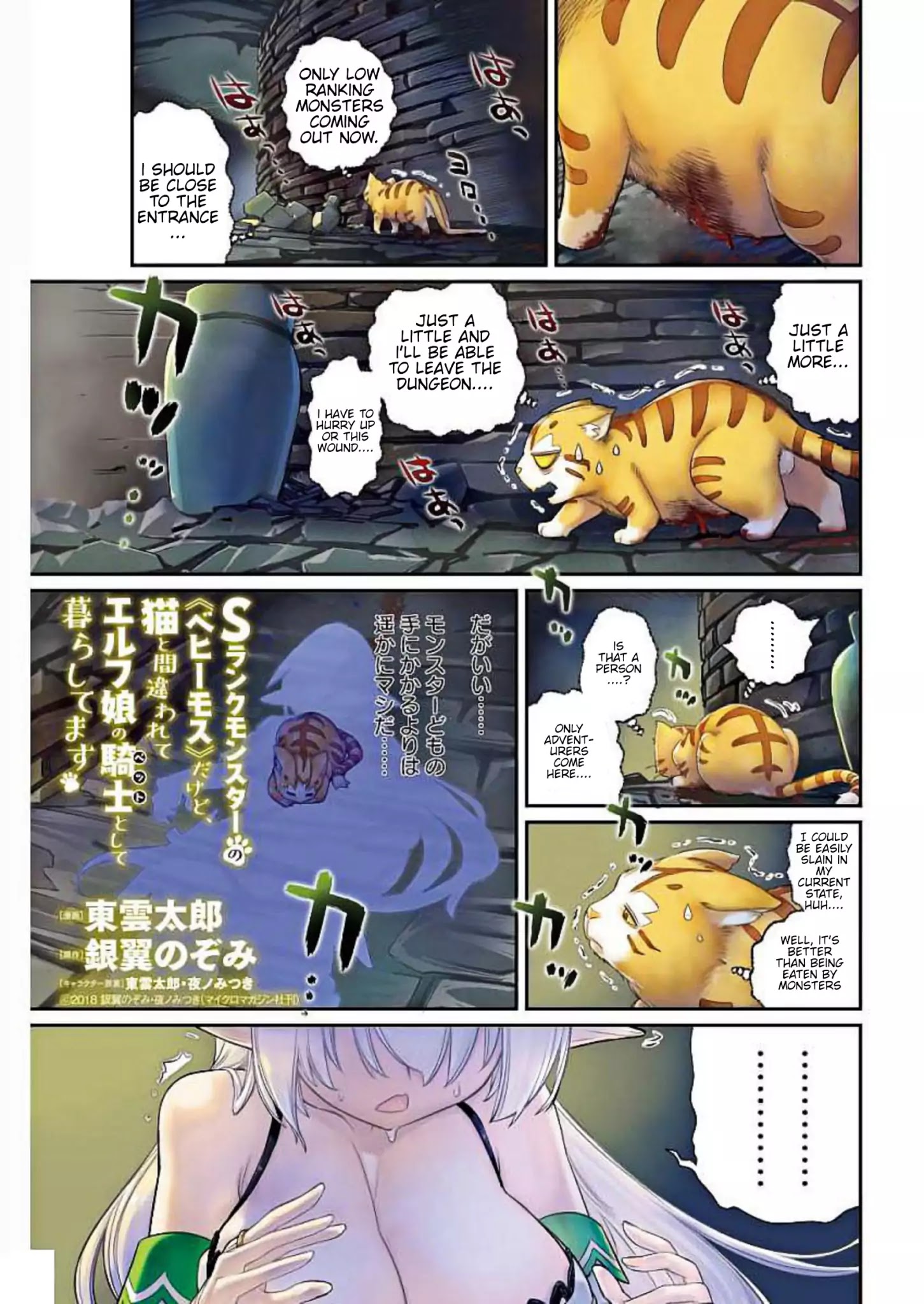 I Am Behemoth Of The S Rank Monster But I Am Mistaken As A Cat And I Live As A Pet Of Elf Girl Chapter 1 page 1 - 
