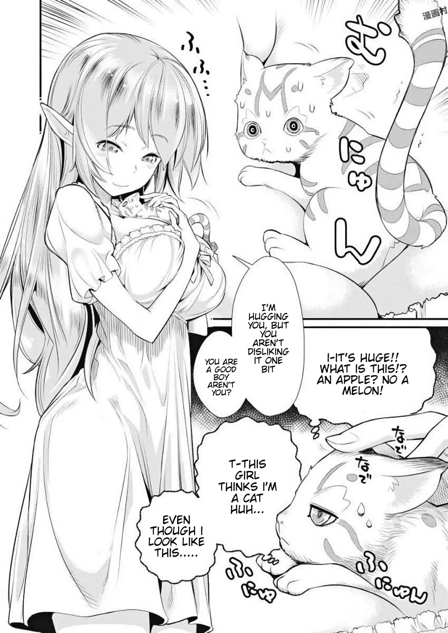 I Am Behemoth Of The S Rank Monster But I Am Mistaken As A Cat And I Live As A Pet Of Elf Girl Chapter 1 page 8 - 