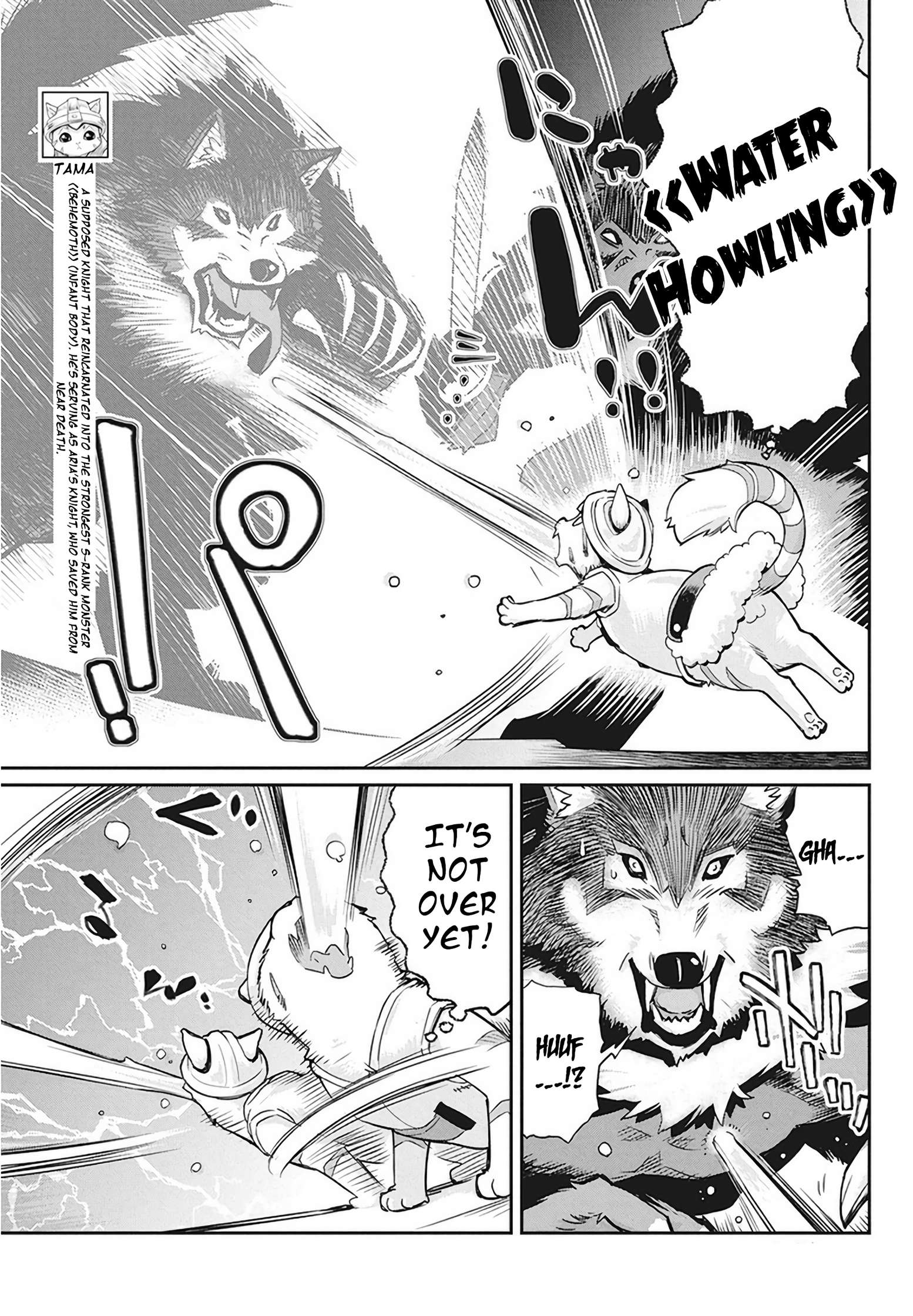 I Am Behemoth Of The S Rank Monster But I Am Mistaken As A Cat And I Live As A Pet Of Elf Girl Chapter 13 page 8 - 
