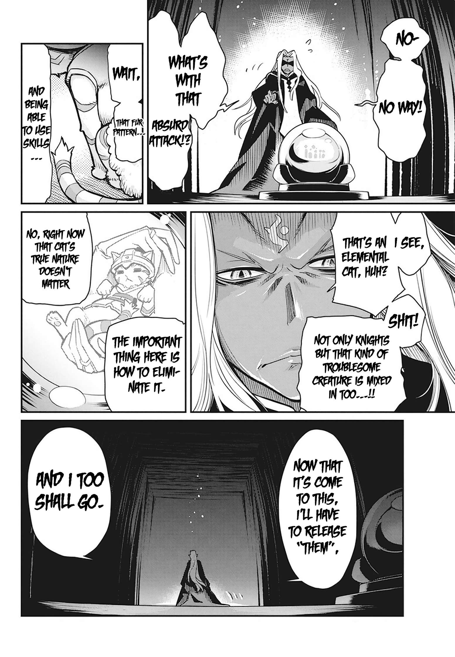 I Am Behemoth Of The S Rank Monster But I Am Mistaken As A Cat And I Live As A Pet Of Elf Girl Chapter 13 page 10 - 