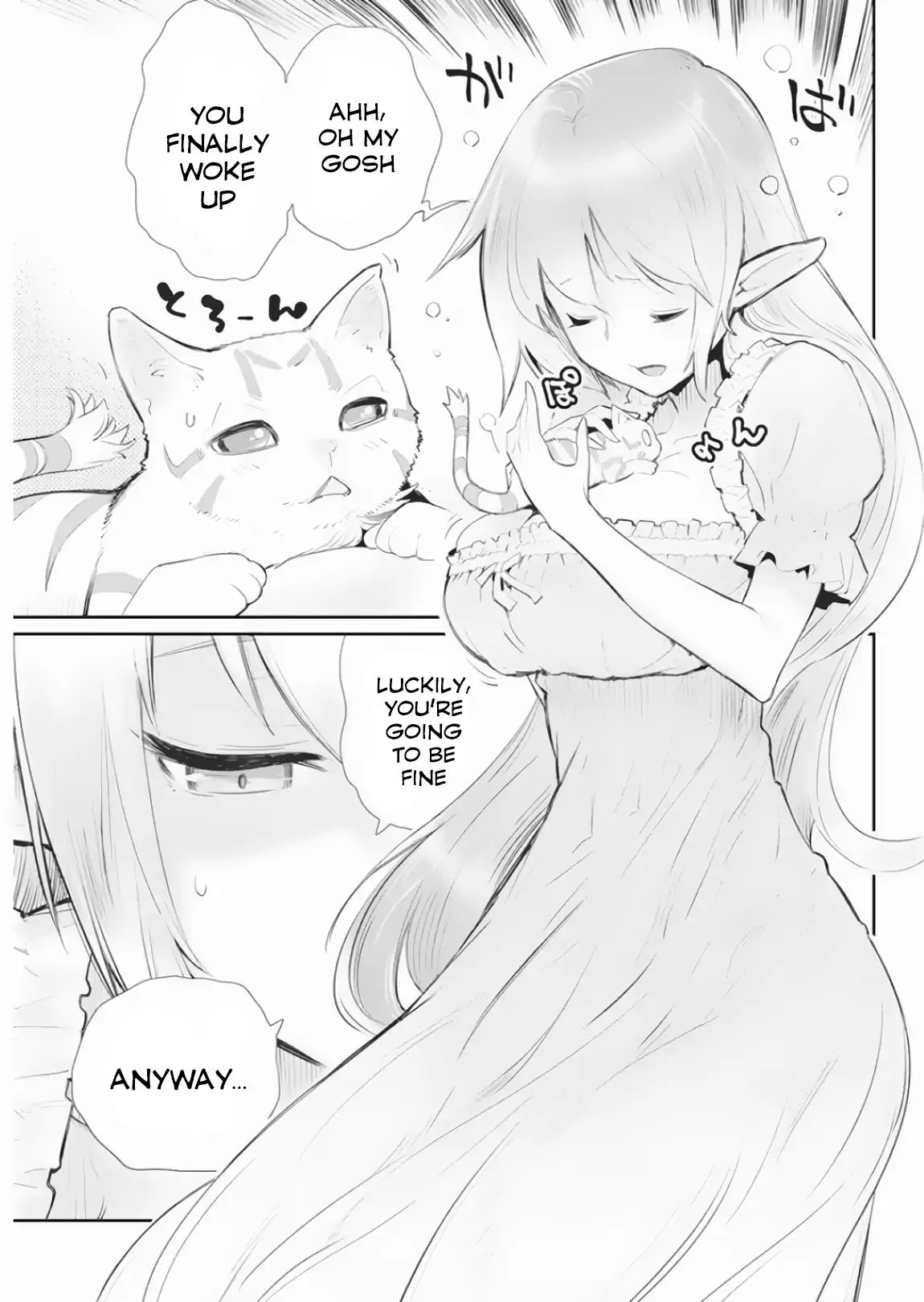 I Am Behemoth Of The S Rank Monster But I Am Mistaken As A Cat And I Live As A Pet Of Elf Girl Chapter 17 page 21 - 