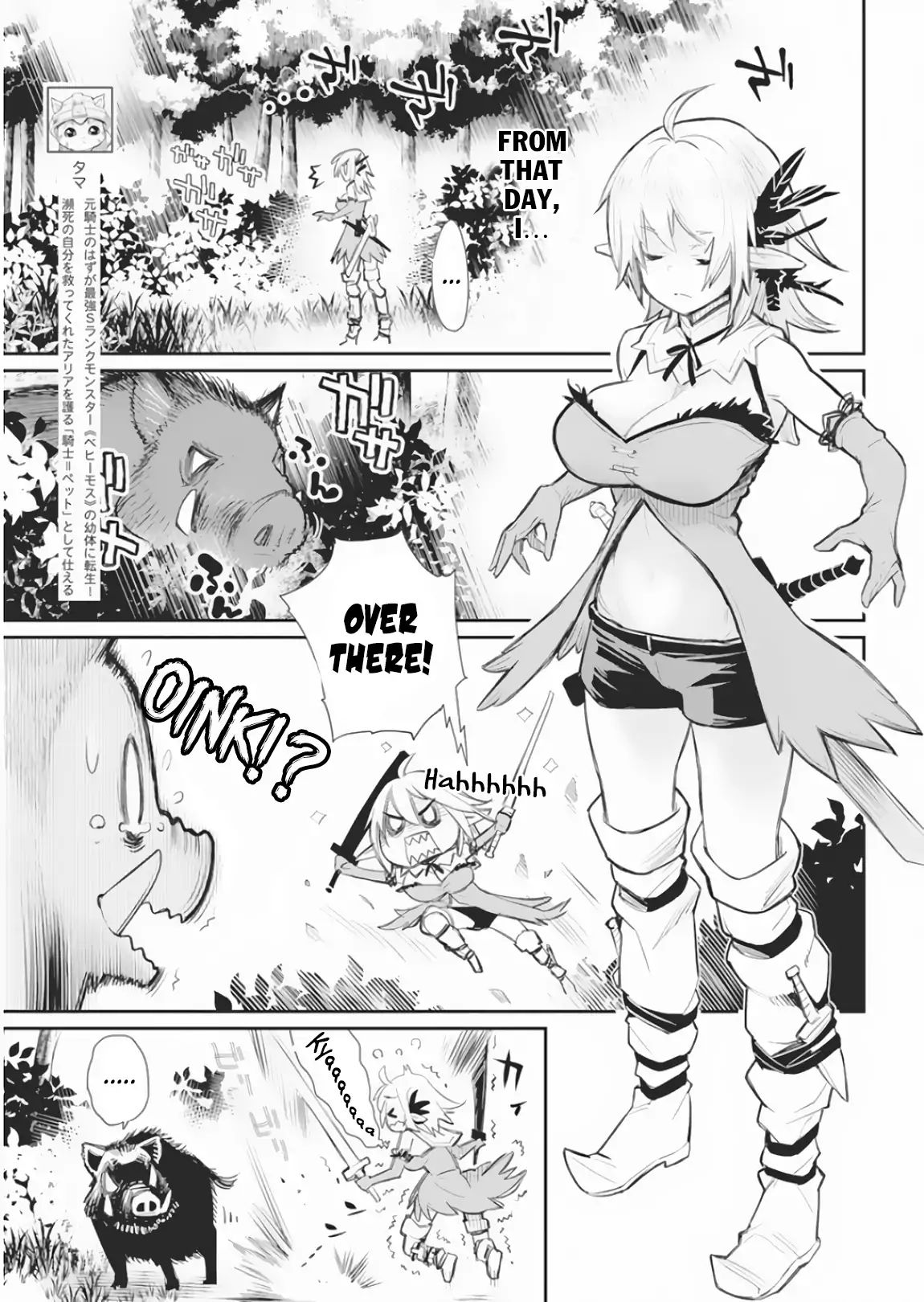 I Am Behemoth Of The S Rank Monster But I Am Mistaken As A Cat And I Live As A Pet Of Elf Girl Chapter 17 page 5 - 