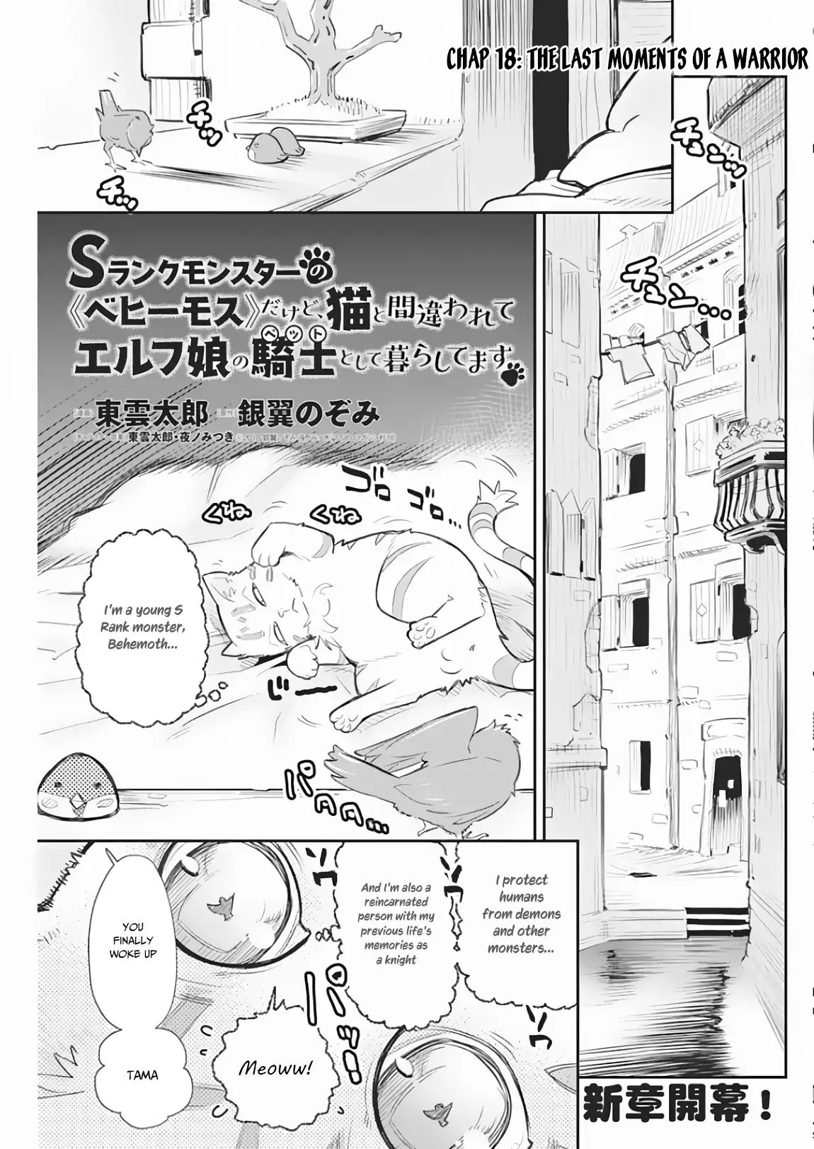 I Am Behemoth Of The S Rank Monster But I Am Mistaken As A Cat And I Live As A Pet Of Elf Girl Chapter 18 page 2 - 