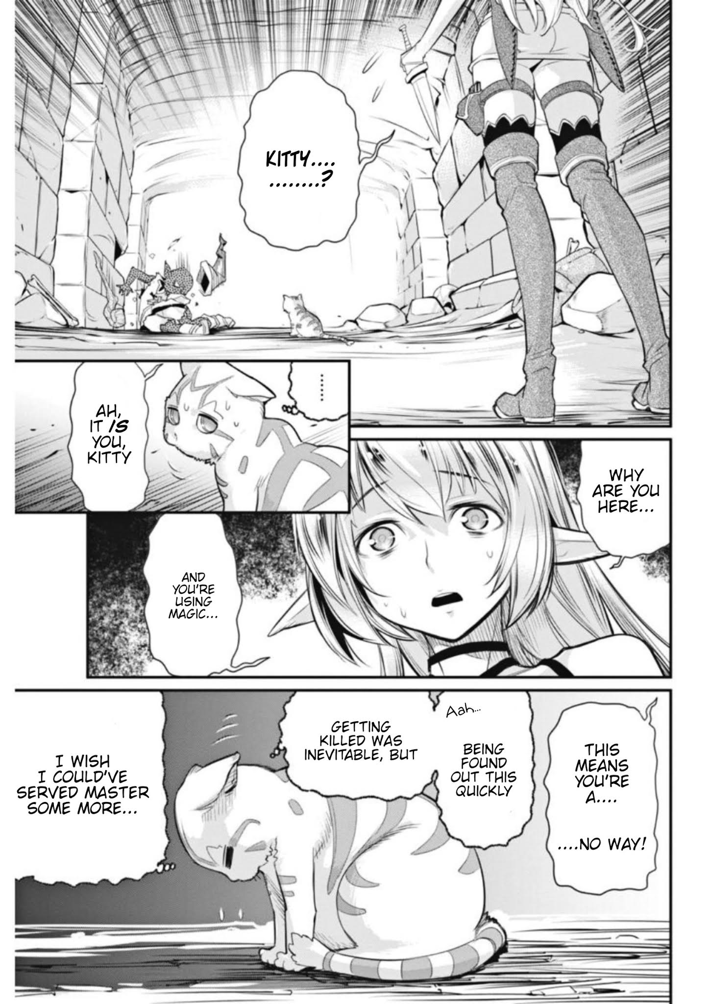 I Am Behemoth Of The S Rank Monster But I Am Mistaken As A Cat And I Live As A Pet Of Elf Girl Chapter 2 page 17 - 