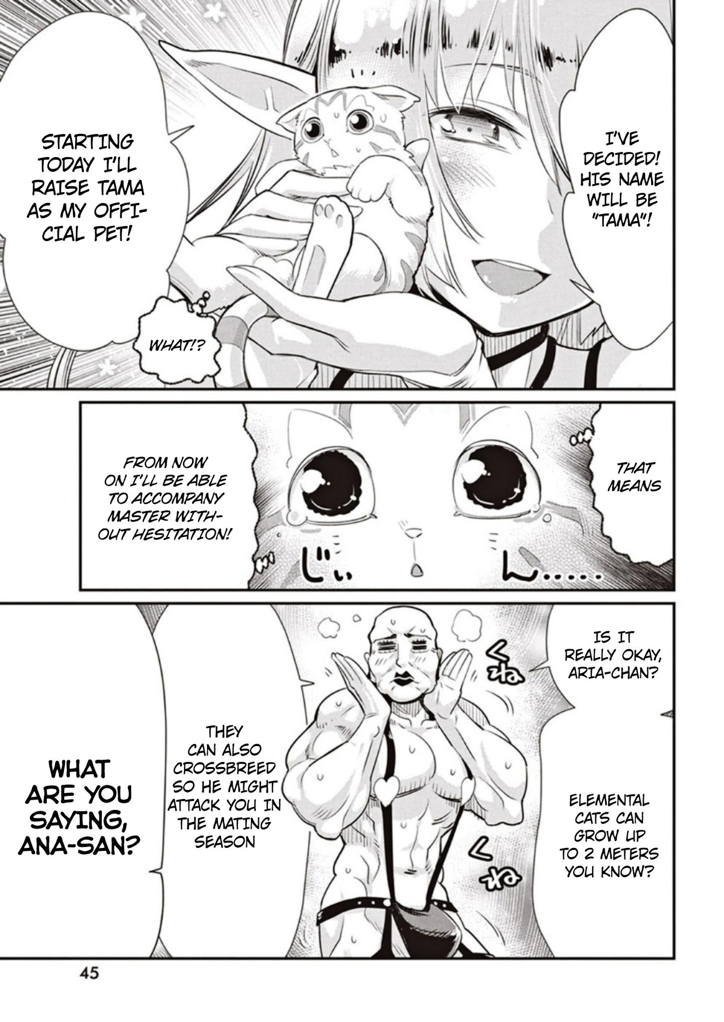 I Am Behemoth Of The S Rank Monster But I Am Mistaken As A Cat And I Live As A Pet Of Elf Girl Chapter 3 page 11 - 