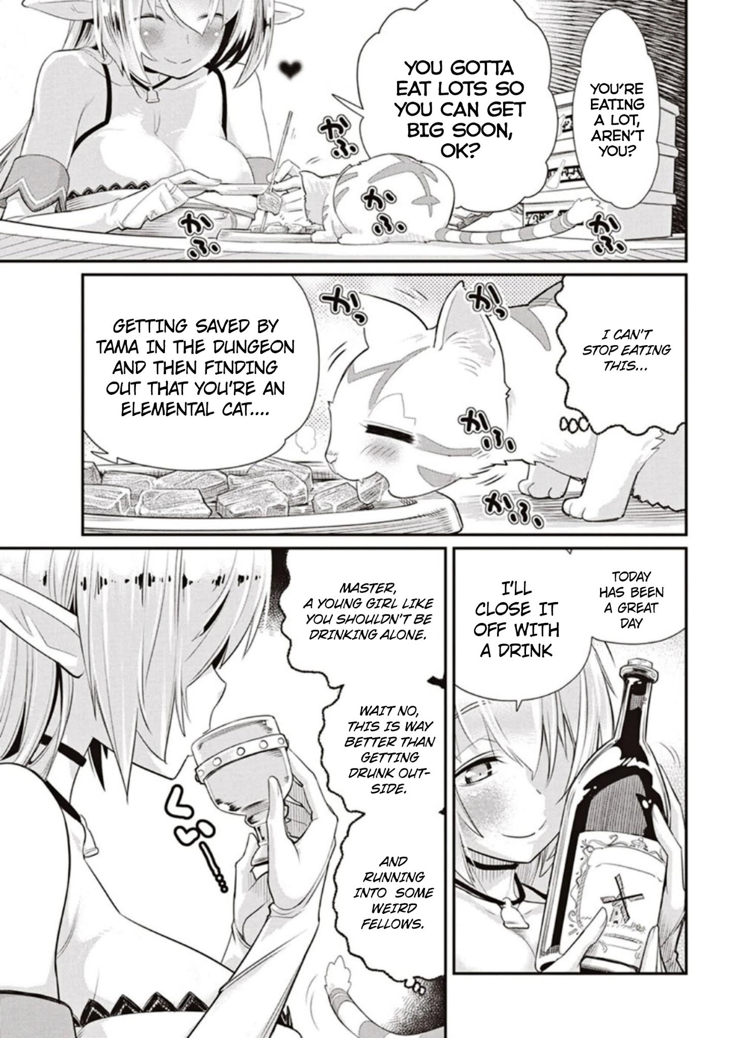 I Am Behemoth Of The S Rank Monster But I Am Mistaken As A Cat And I Live As A Pet Of Elf Girl Chapter 3 page 21 - 