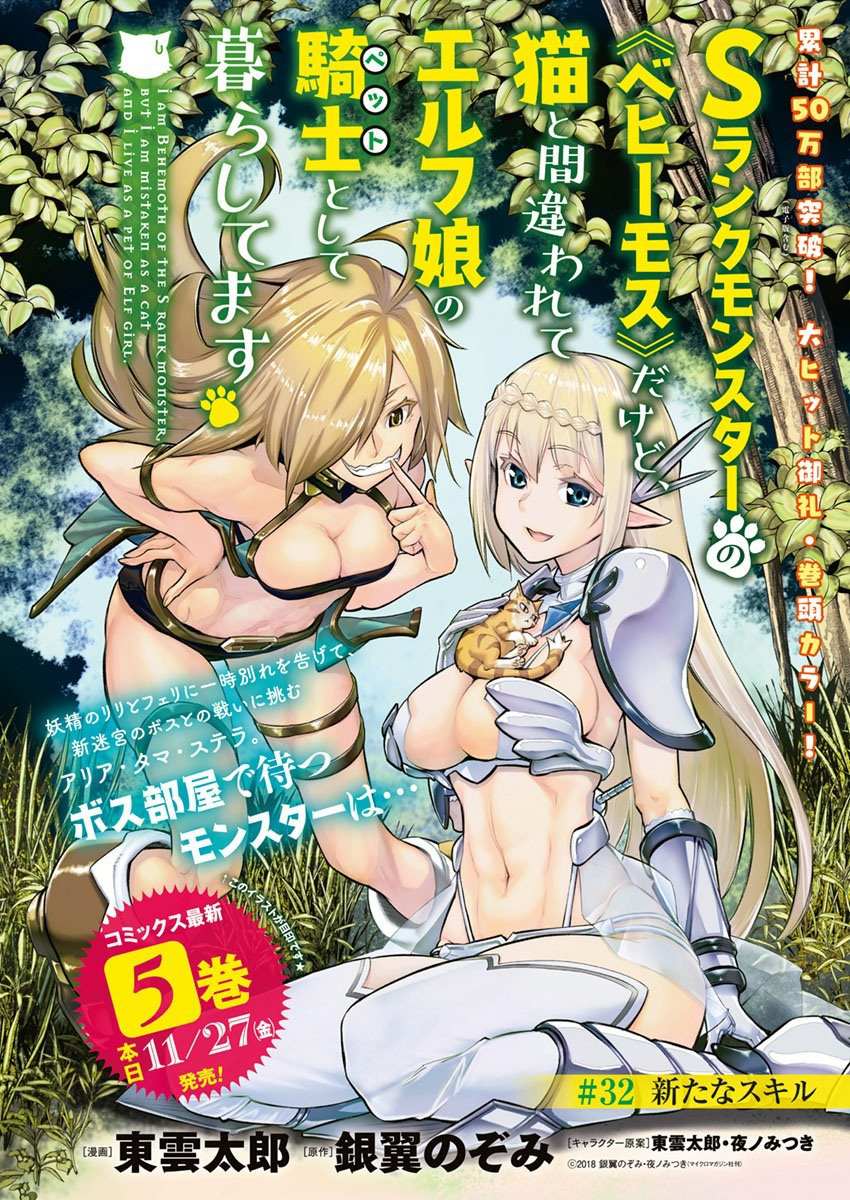 I Am Behemoth Of The S Rank Monster But I Am Mistaken As A Cat And I Live As A Pet Of Elf Girl Chapter 32 page 2 - 
