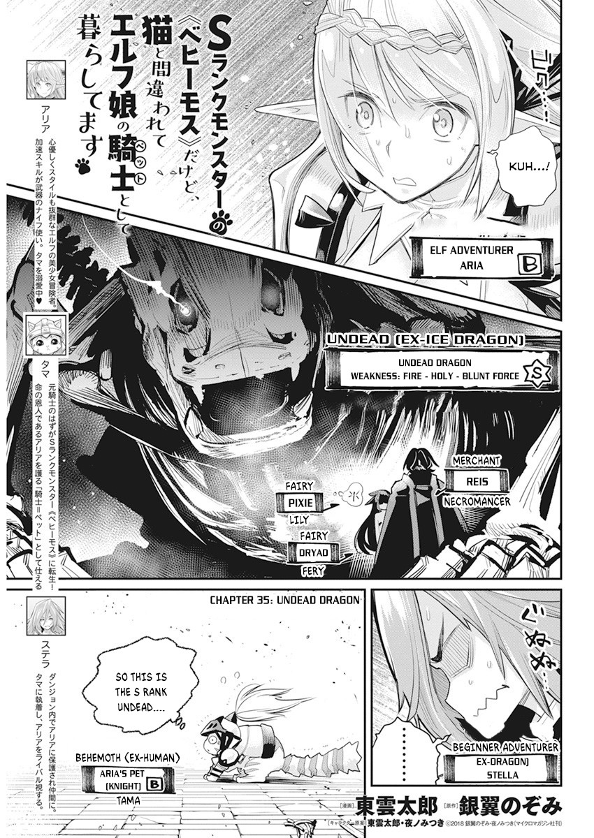I Am Behemoth Of The S Rank Monster But I Am Mistaken As A Cat And I Live As A Pet Of Elf Girl Chapter 35 page 2 - 