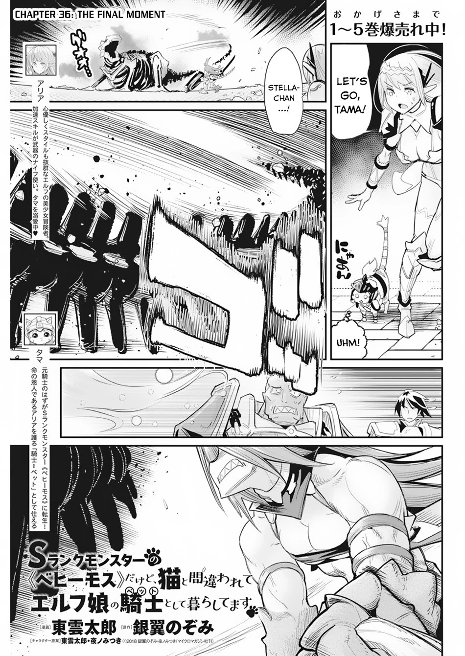 I Am Behemoth Of The S Rank Monster But I Am Mistaken As A Cat And I Live As A Pet Of Elf Girl Chapter 36 page 2 - 