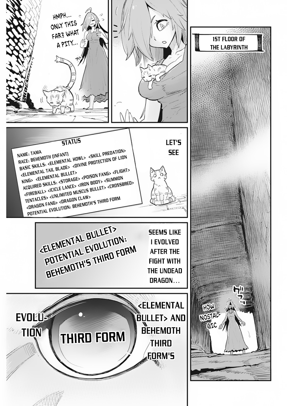 I Am Behemoth Of The S Rank Monster But I Am Mistaken As A Cat And I Live As A Pet Of Elf Girl Chapter 39 page 8 - 