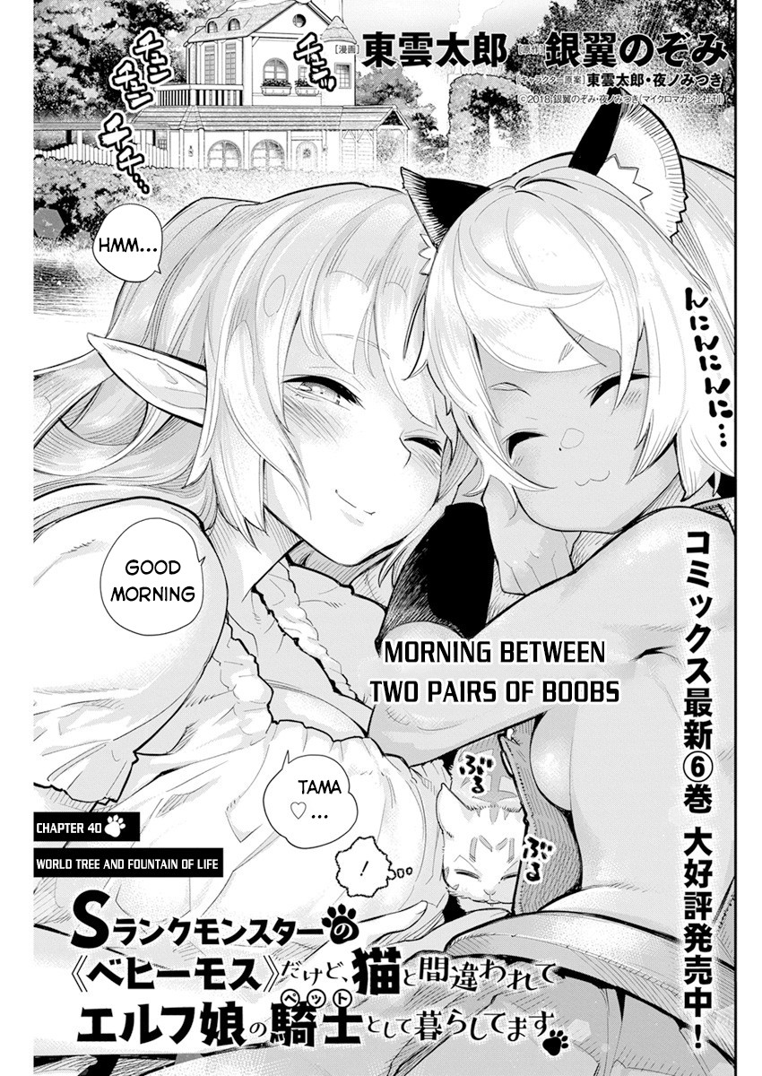 I Am Behemoth Of The S Rank Monster But I Am Mistaken As A Cat And I Live As A Pet Of Elf Girl Chapter 40 page 2 - 
