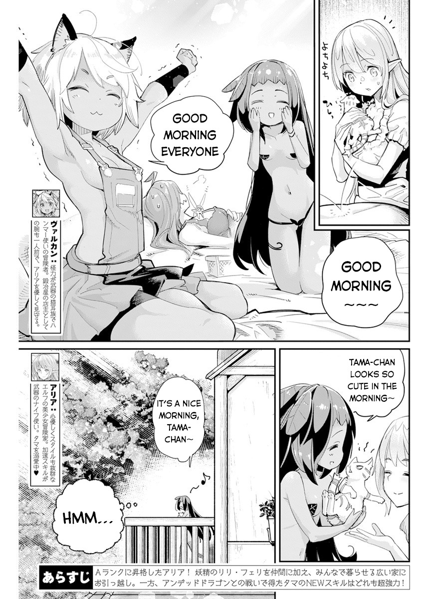 I Am Behemoth Of The S Rank Monster But I Am Mistaken As A Cat And I Live As A Pet Of Elf Girl Chapter 40 page 4 - 