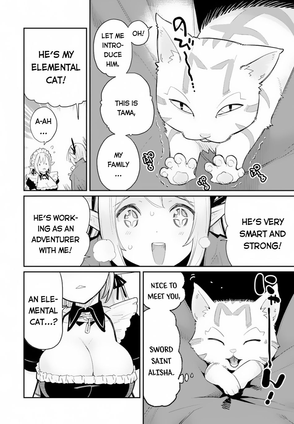I Am Behemoth Of The S Rank Monster But I Am Mistaken As A Cat And I Live As A Pet Of Elf Girl Chapter 45 page 17 - 
