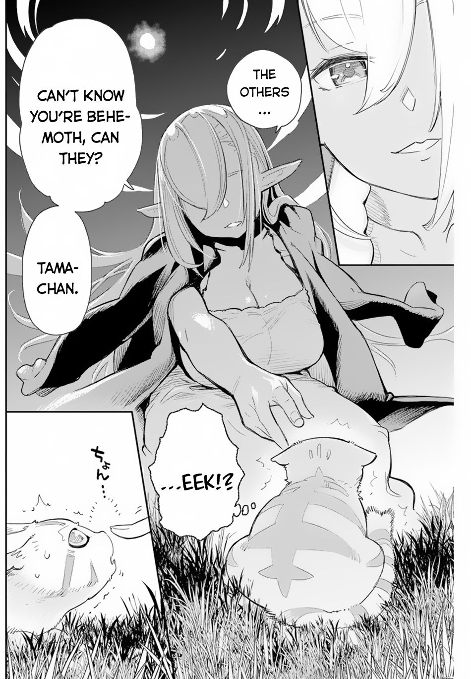 I Am Behemoth Of The S Rank Monster But I Am Mistaken As A Cat And I Live As A Pet Of Elf Girl Chapter 47 page 18 - 