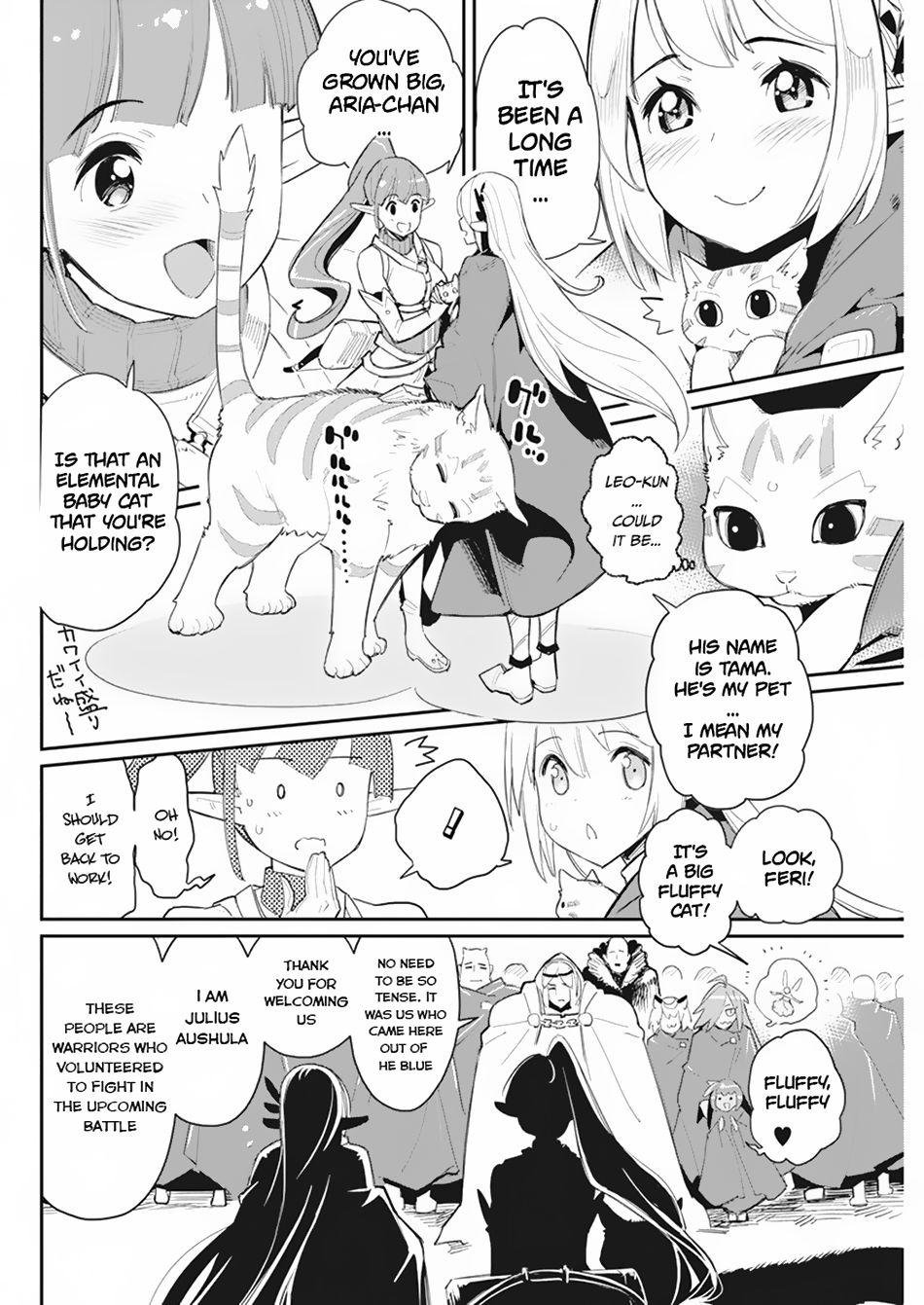 I Am Behemoth Of The S Rank Monster But I Am Mistaken As A Cat And I Live As A Pet Of Elf Girl Chapter 54 page 6 - 