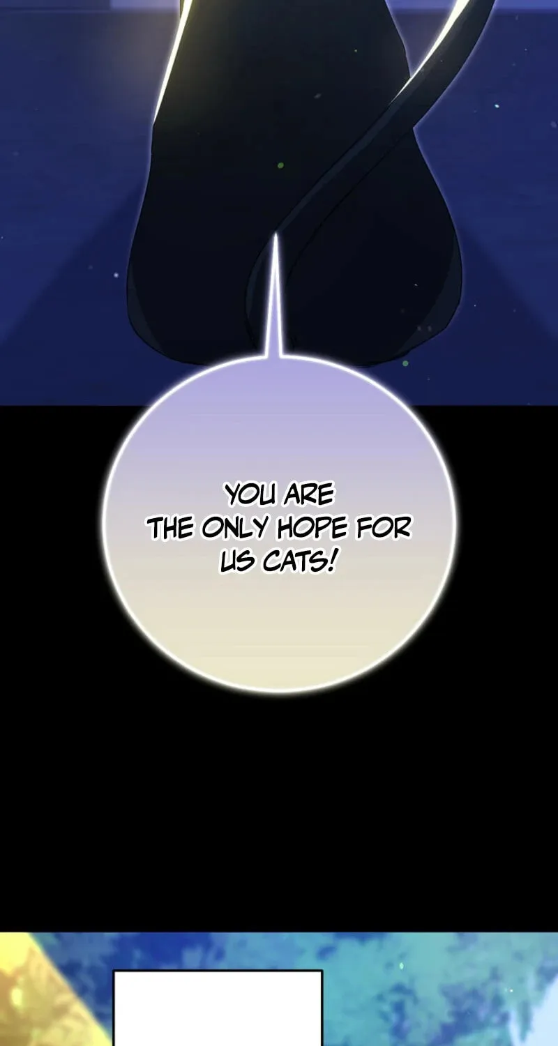 I Am in the Same Class as the Crazy Male Leads Chapter 32 page 47 - 