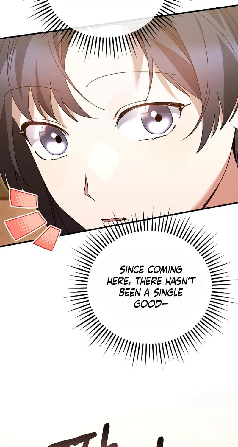 I Am in the Same Class as the Crazy Male Leads Chapter 33 page 23 - 