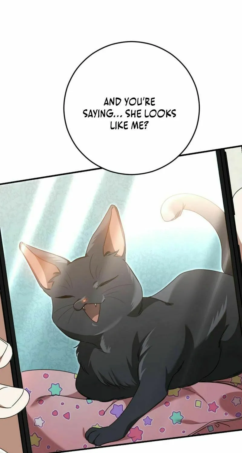 I Am in the Same Class as the Crazy Male Leads Chapter 36 page 5 - 
