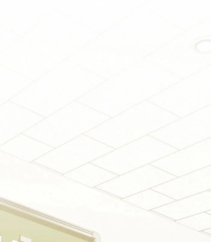 I Am in the Same Class as the Crazy Male Leads Chapter 41 page 42 - 