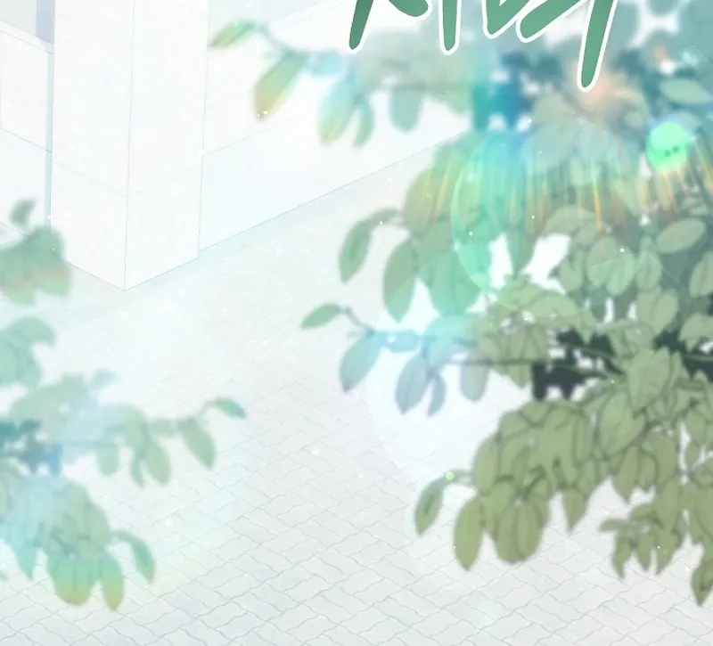 I Am in the Same Class as the Crazy Male Leads Chapter 50 page 95 - 