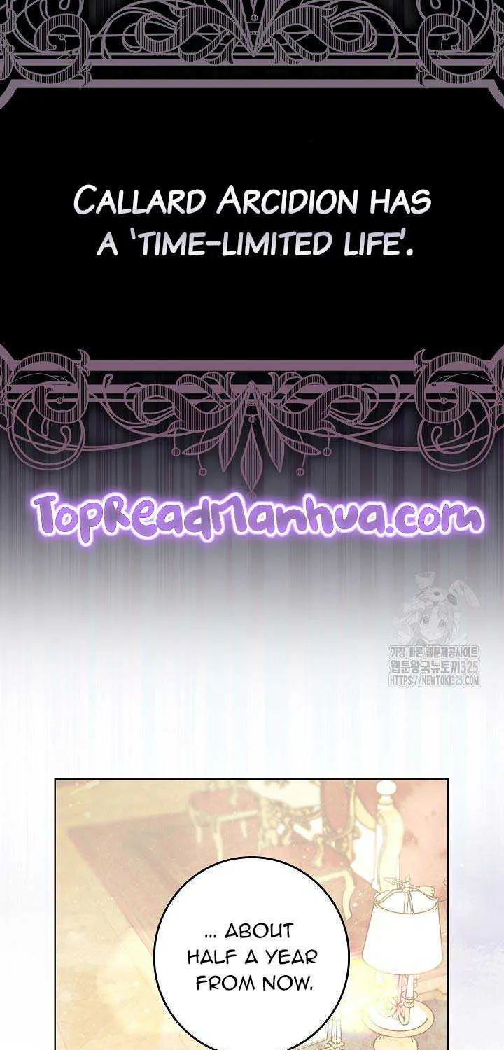 I Am Living an Unmarried Life With a Terminally Ill Lover Chapter 2 page 45 - 