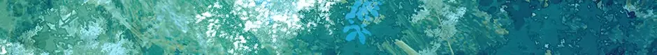 I Am Living an Unmarried Life With a Terminally Ill Lover Chapter 32 page 121 - 