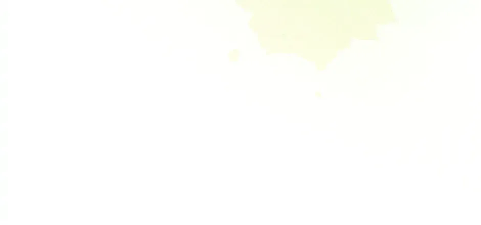 I Am Living an Unmarried Life With a Terminally Ill Lover Chapter 33 page 72 - 