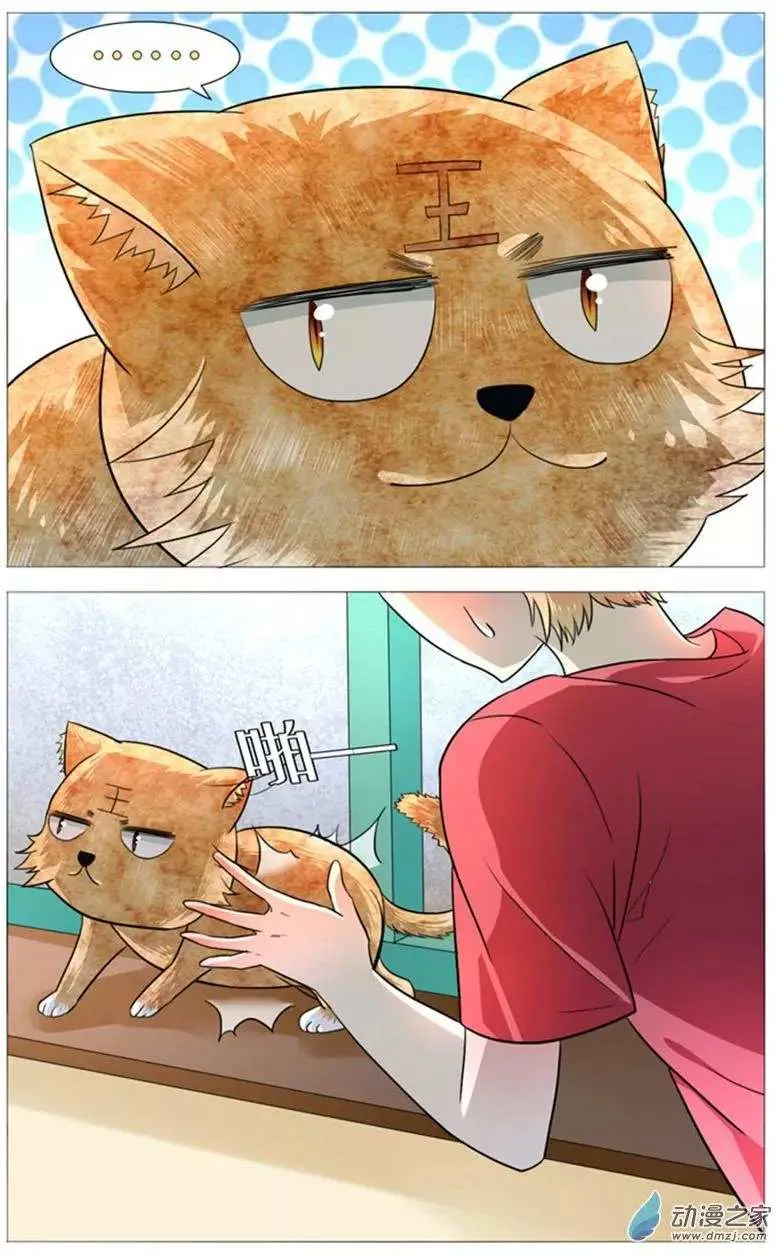 I Am My Wife Chapter 50 page 11 - 