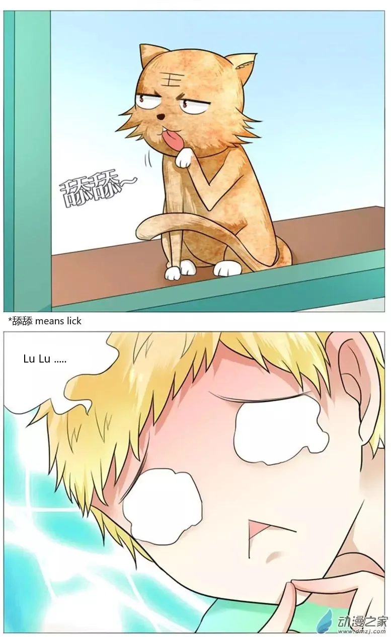 I Am My Wife Chapter 50 page 12 - 