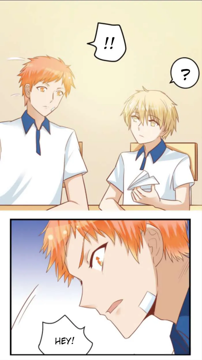 I Am My Wife Chapter 70 page 11 - 