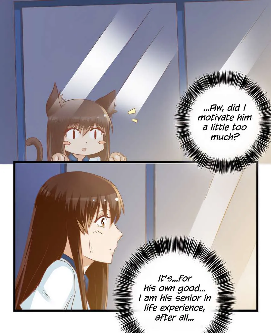 I Am My Wife Chapter 71 page 14 - 