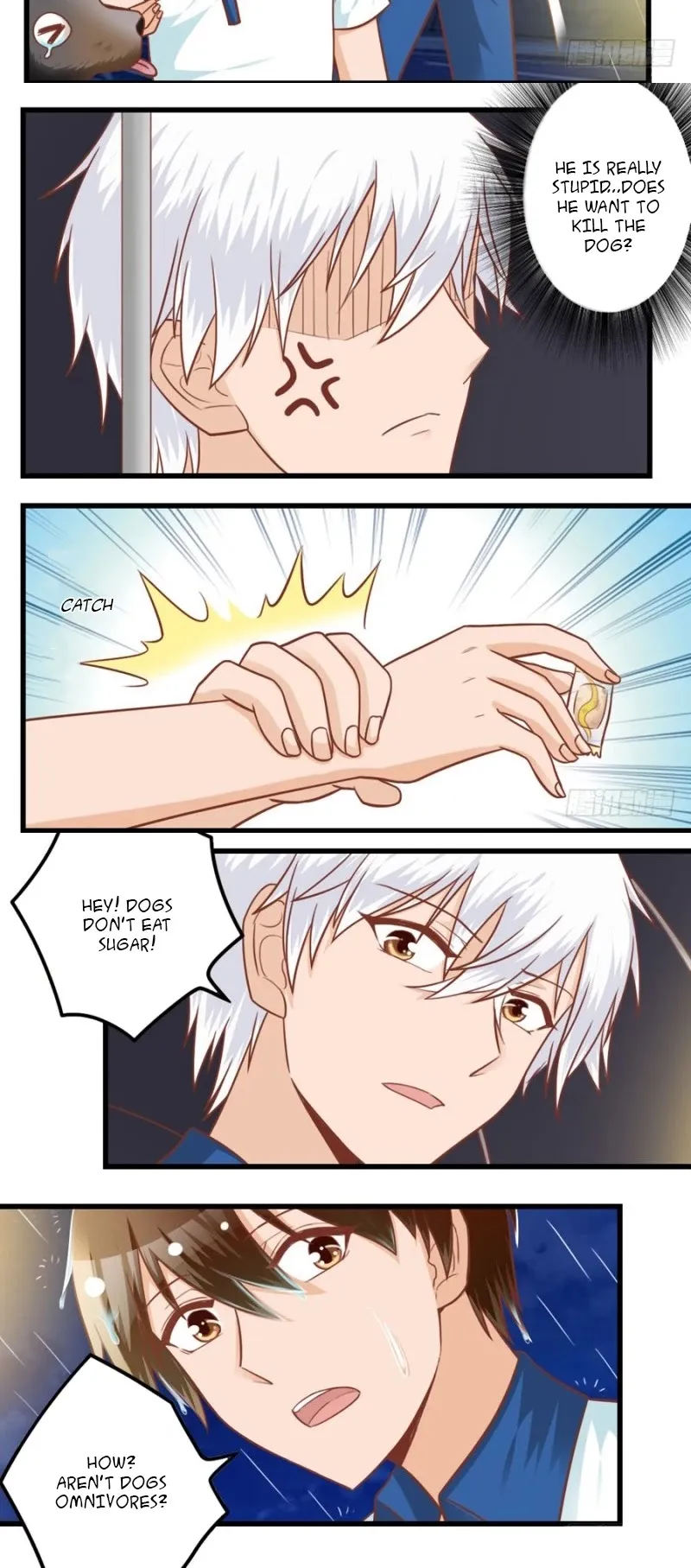 I Am My Wife Chapter 83 page 6 - 