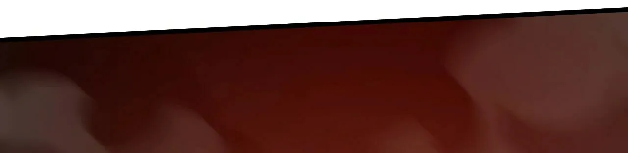I Am Really Not the Son of Providence Chapter 11 page 12 - 